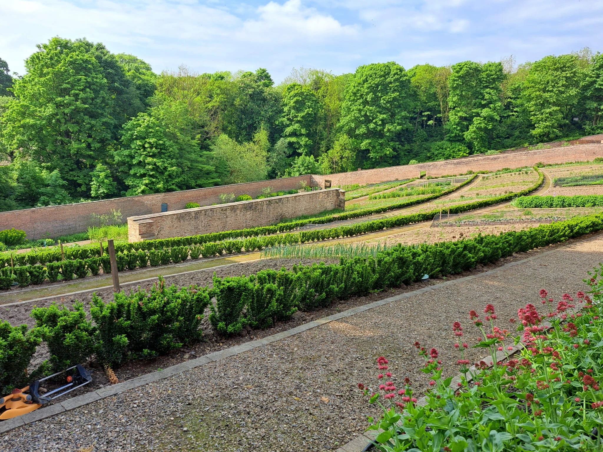 The restoration of Auckland Gardens